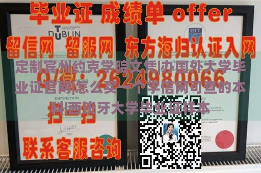 定制宾州约克学院文凭|办国外大学毕业证官网|怎么买一个学信网可查的本科|西班牙大学毕业证样本